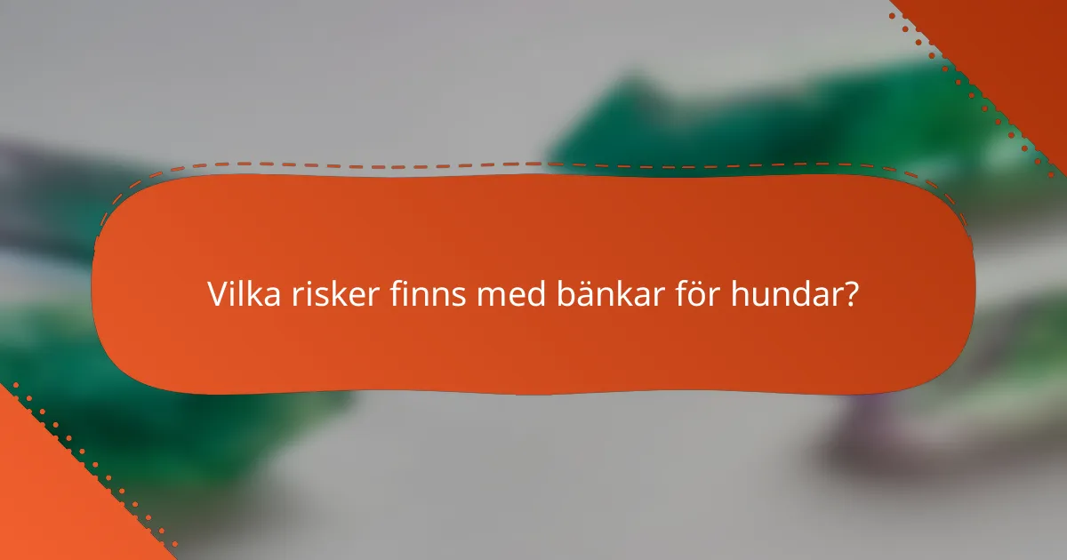 Vilka risker finns med bänkar för hundar?
